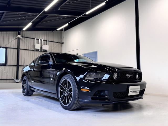 ֡ǥ顼֡饹롼աţԣ ֥å쥶ȡȥҡΥ饤 1