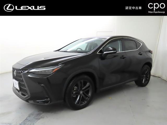 mw(NTX) mwRTO@o[Wk@F蒆ÎԂbon@`@o@pm~bNr[j^[@ʑ̌^fBXNvC[@fW^Ci[~[ Îԉ摜