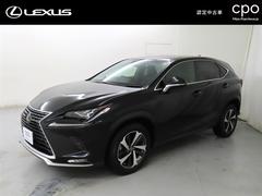 NX NX300 スパイス&シック 認定中古車CPO 中古車画像