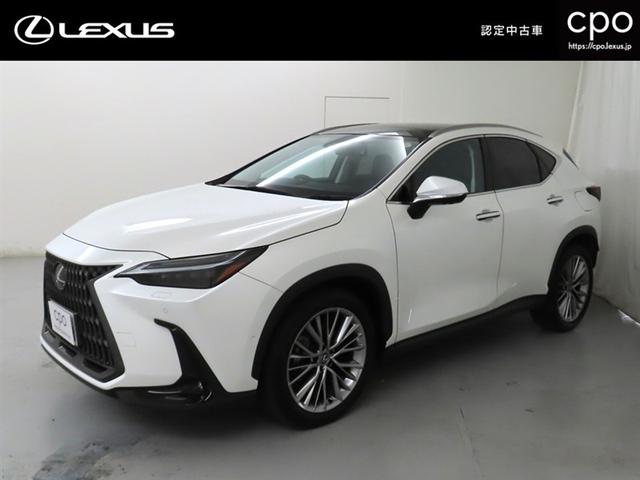 mw(NTX) mwRTO@o[Wk@F蒆ÎԂbon@QOC`A~zC[@`@o@p[LOT|[gu[L@[t[@fW^L[@J[wbhAbvfBXvC@fW^Ci[~[@[d@pm}[t Îԉ摜