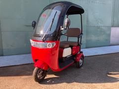 *その他  CHOPPER  普通免許 車検不要 車庫証明不要 家庭用100V 速度30km 2人乗 中古車画像