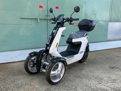 *その他  REVERSE TRIKER 普通免許可 2人乗り 高速道路走行可 ヘルメット不要 速度80km 家庭用100V 中古車画像