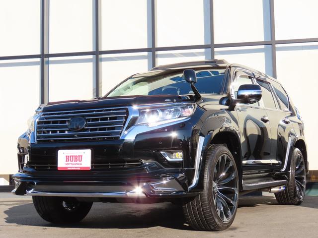 ＥＬＦＯＲＤサウンドチャンバーパイプ　ＥＴＣ ＷＡＬＤフロントスポイラー　リアスカートオーバーフェンダー　バックカメラ