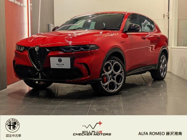 ȥʡ ץ饰ϥ֥åɣѣҥǥ⡡ѱѼξ 9572416A30251030W001 1