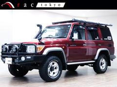 ランドクルーザー70 バン 30周年記念/5MT/1GR/ARBカスタム/デラックスバンパ-/LED付オ-ニング/ベ-スラック/フロアマット/サファリシュノ-ケル/ステアリングダンパ-/WARNウィンチ/IPFドライビングライト 中古車画像