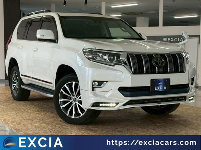 ȥ西 ɥ롼ץ ԣء̥ѥåǥ륿ܡף