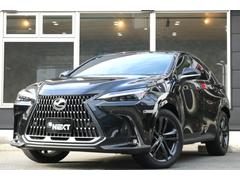 NX NX250 バージョンL ワンオーナー 14インチDA 赤革シート 3眼LEDヘッド パノラミックビュー マークレビンソン クルコン パドルシフト BSM ハンドルヒーター シートヒーター メモリ付きパワーシート 中古車画像