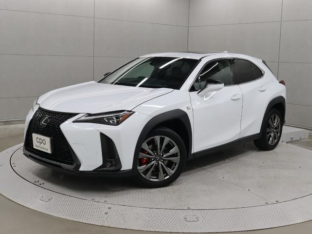 tw(NTX) twQOO@eX|[c Îԉ摜