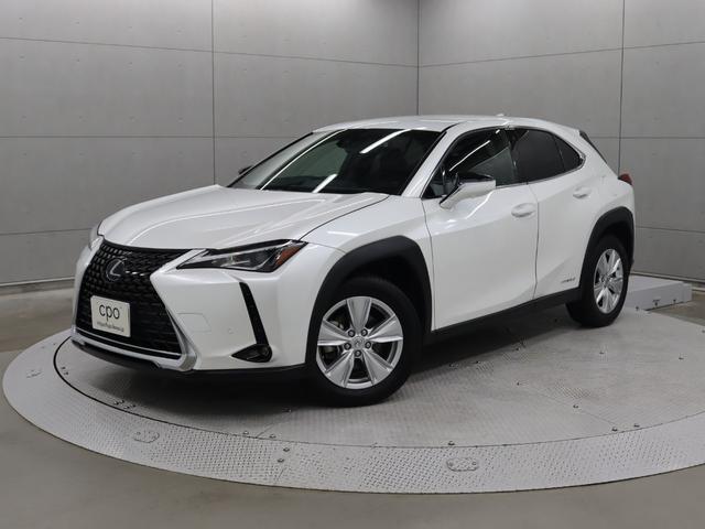 쥯 գ գأ衡Сáϥ󥺥ե꡼ѥХåɥѥΥߥåӥ塼˥