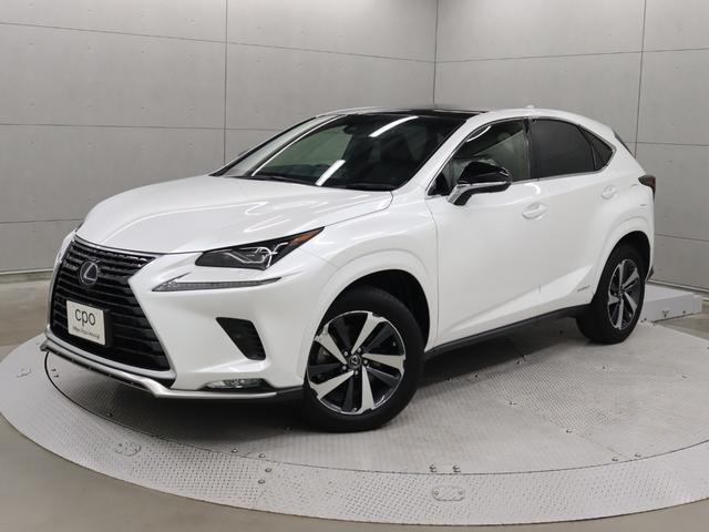 쥯 Σ Σأ衡ѥåѥΥޥ롼աܥǥ顼Ʊե⡼