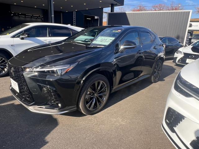 ＮＸ(レクサス) ＮＸ３５０ｈ　Ｆスポーツ　ドライブレコーダー前後 中古車画像