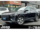 CHRYSLER JEEP JEEP CHEROKEE