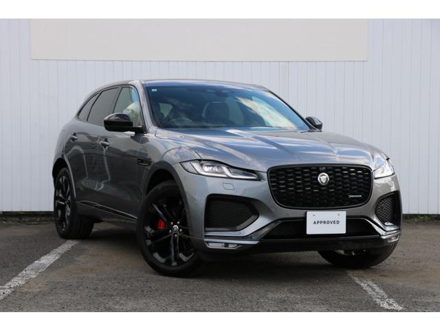 ƥڥ ҥʥߥåӣţ̡Уףġ̾ 9900086A30250928W006 1