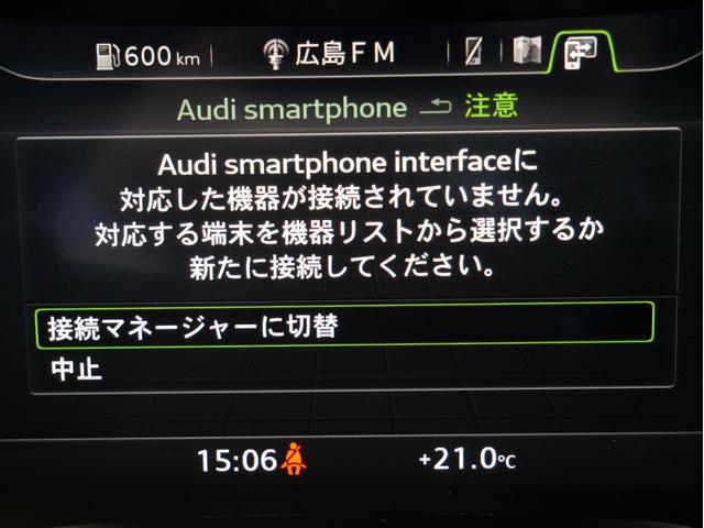 V10クーペパフォマンス5.2FSIクワSトロニック(17枚目)
