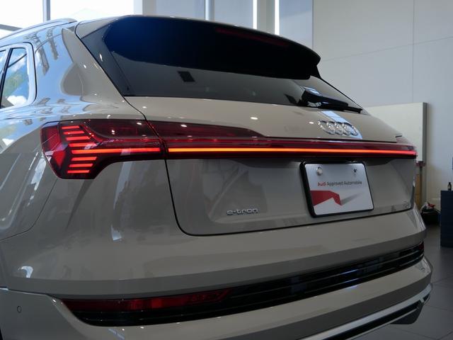 e-トロン 55クワトロ Sライン 認定中古車 サイレンスパッケージ バーチャルエクステリアミラー プライバシーガラス アコースティックガラス Bang&Olufsen3Dサウンドシステム パワークロージングドア TVチューナー(56枚目)