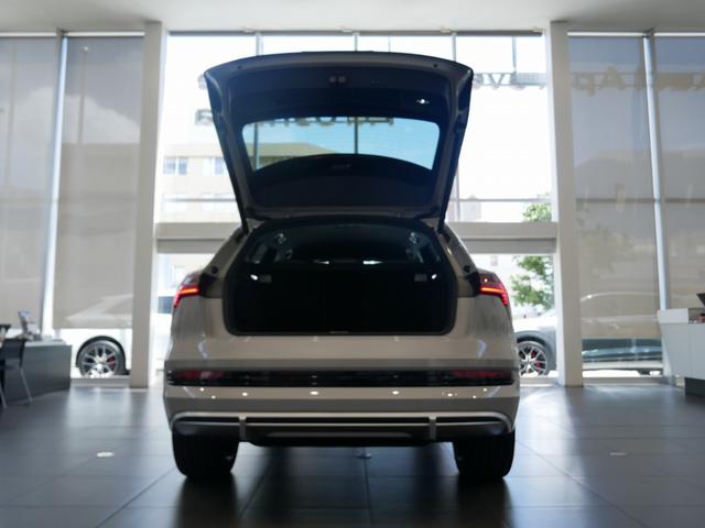 e-トロン 55クワトロ Sライン 認定中古車 サイレンスパッケージ バーチャルエクステリアミラー プライバシーガラス アコースティックガラス Bang&Olufsen3Dサウンドシステム パワークロージングドア TVチューナー(59枚目)