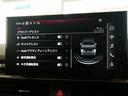 ３５ＴＤＩ　Ｓライン　認定中古車　コンフォートパッケージ　ＳＬＩＮＥｐｌｕｓパッケージ　ＴＶチューナー　マトリクスＬＥＤヘッドライト　サラウンドビューカメラ　シート、エクステリアミラーメモリー　アンビエントライト（45枚目）