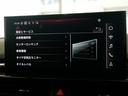 ３５ＴＤＩ　Ｓライン　認定中古車　コンフォートパッケージ　ＳＬＩＮＥｐｌｕｓパッケージ　ＴＶチューナー　マトリクスＬＥＤヘッドライト　サラウンドビューカメラ　シート、エクステリアミラーメモリー　アンビエントライト（47枚目）