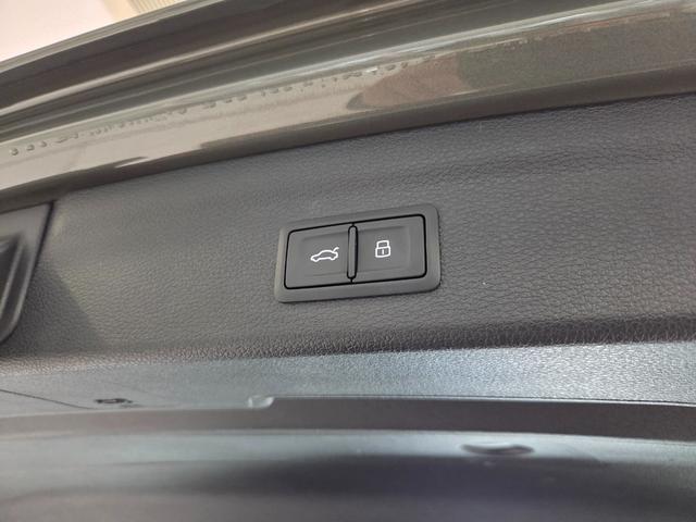 Q3 35TDIクワトロアドバンスド パーシャルレザー(パールセントベージュ) クリーンディーゼル マルチカラーアンビエントライト カープレイ TVチューナー ACC レーンアシスト 電動テールゲート 点検記録簿 禁煙車 1オーナー(35枚目)