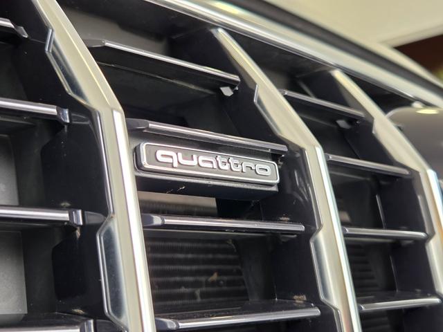 Q3 35TDIクワトロアドバンスド パーシャルレザー(パールセントベージュ) クリーンディーゼル マルチカラーアンビエントライト カープレイ TVチューナー ACC レーンアシスト 電動テールゲート 点検記録簿 禁煙車 1オーナー(67枚目)