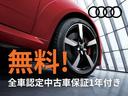 ３５ＴＦＳＩ　Ｓライン　認定中古車　ベーシックＰＫＧ　アシスタンスＰＫＧ　スマートフォンインターフェイス　プライバシーガラス　ワイヤレスチャージング　サラウンドビューカメラ　サイドアシスト　ＡＣＣ　電動リアゲート（31枚目）