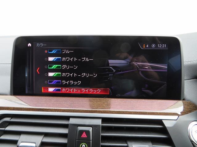 Ｘ４ Ｍ４０ｉ　認定中古車　ＬＥＤヘッドライト　２１ＡＷ　サンルーフ　ＰＤＣ　オートトランク　コンフォートアクセス　純正ナビ　ｉＤｒｉｖｅナビ　フルセグ　トップリアビューカメラ　純正ＥＴＣ　ＡＣＣストップゴー（39枚目）