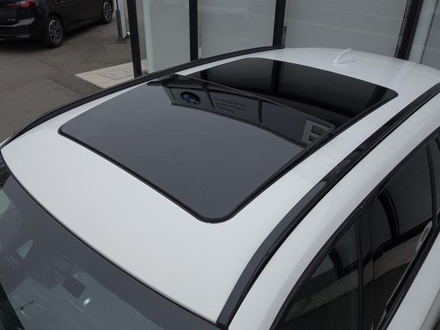 Ｘ１ ｘＤｒｉｖｅ　１８ｄ　Ｍスポーツ　コンフォートＰＫＧ　セレクトＰＫＧ　ハイラインＰＫＧ　ＬＥＤライト　１８ＡＷ　パノラマガラスサンルーフ　コナーセンサー　オートトランク　フルセグ　クルコン（51枚目）