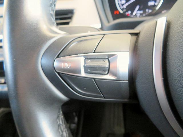 X2 xDrive 18dMスポーツエディションサンライズ 200台限定車 ブラックレザーシート アダプティブMサスペンション LEDヘッドライト 18アルミ コーナーセンサー コンフォートアクセス レーンディパーチャーウォーニング(12枚目)