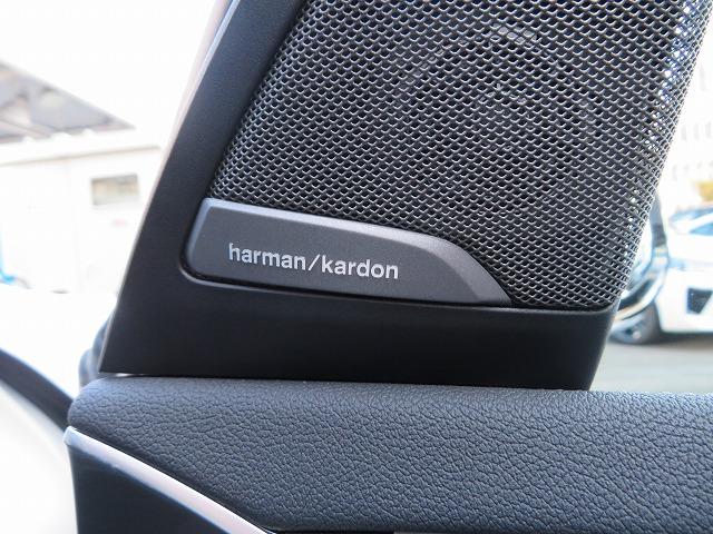 X3 M40d LEDライト 21AW Aトランク フルセグ PDC スマートキー 純正ナビ 純正ETC Bカメラ アクティブクルーズコントロール レーンチェンジ&ディパーチャーウォーニング 禁煙車(24枚目)