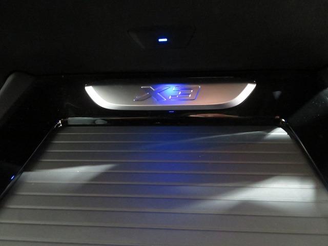 X3 xDrive 20d Mスポーツ セレクトPKG ステアヒーター 20AW フルセグ LEDライト PDC スマートキー 純正ナビ ETC Bカメラ アクティブクルーズコントロール レーンチェンジ&ディパーチャーウォーニング 禁煙車(20枚目)