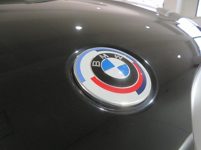 X3 xDrive 20d Mスポーツ セレクトPKG ステアヒーター 20AW フルセグ LEDライト PDC スマートキー 純正ナビ ETC Bカメラ アクティブクルーズコントロール レーンチェンジ&ディパーチャーウォーニング 禁煙車(51枚目)