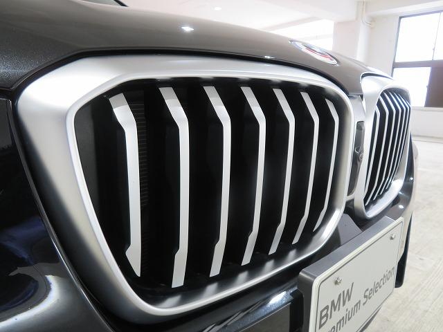 X3 xDrive 20d Mスポーツ セレクトPKG ステアヒーター 20AW フルセグ LEDライト PDC スマートキー 純正ナビ ETC Bカメラ アクティブクルーズコントロール レーンチェンジ&ディパーチャーウォーニング 禁煙車(52枚目)
