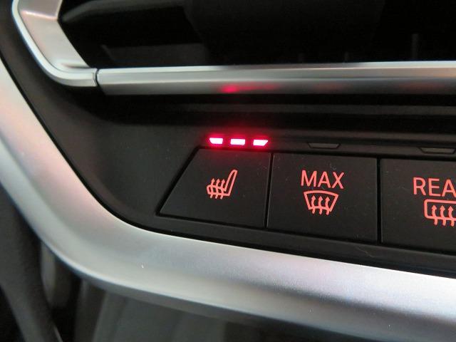 X3 xDrive 20d Mスポーツ セレクトPKG LEDライト 20AW オイスターレザー ステアヒーター リアシートアジャストメント フルセグ アクティブクルーズコントロール レーンチェンジ&ディパーチャーウォーニング 禁煙車(24枚目)