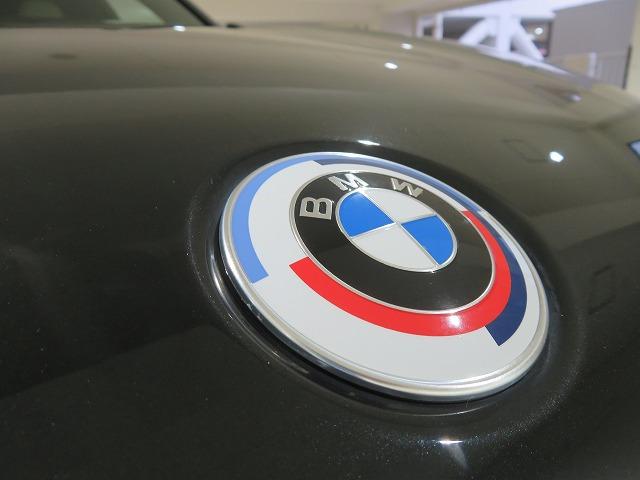 X3 xDrive 20d Mスポーツ セレクトPKG LEDライト 20AW オイスターレザー ステアヒーター リアシートアジャストメント フルセグ アクティブクルーズコントロール レーンチェンジ&ディパーチャーウォーニング 禁煙車(51枚目)