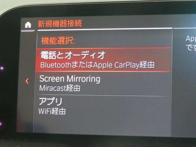 ◆掲載されてある写真以外に、気になる箇所が御座いましたら撮影してお送りいたしますので、お気軽にお申し付け下さい◆
