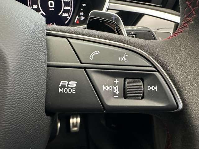 RS Q3 ベースグレード スポーツエキゾースト/ダンピングコントロースサス/マットチタングレー21インチアルミ/カーボンミラー/レッドキャリパー/デコラティブパネルカーボン/ファインナッパレザー/マトリクスLED/禁煙車(13枚目)