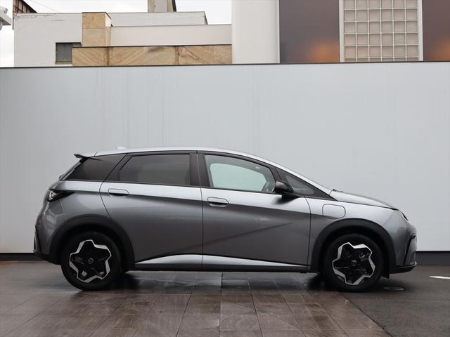 ドルフィン ベースグレード（50枚目）