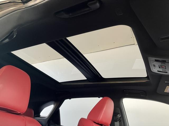 ＲＸ ＲＸ３００　Ｆスポーツ（12枚目）