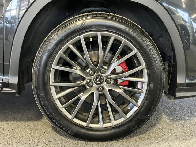 ＲＸ ＲＸ３００　Ｆスポーツ（18枚目）