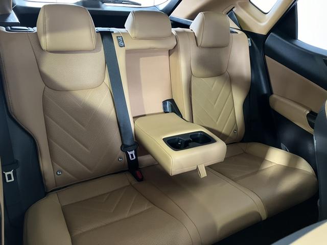 NX NX350h バージョンL(13枚目)