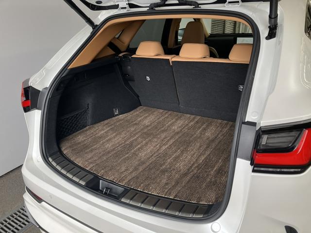 NX NX350h バージョンL(14枚目)