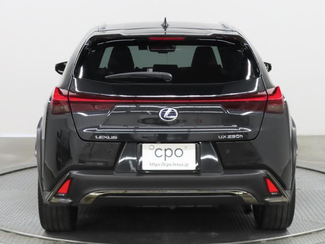 �������̉摜�ł��B