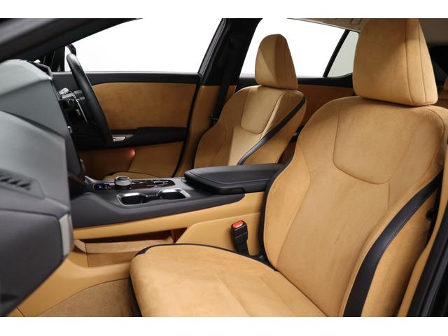 �t�����g�V�[�g�摜�ł��B�x���`���[�V�����t��