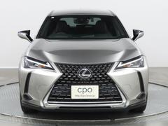 ���̤���β����Ǥ��� 2