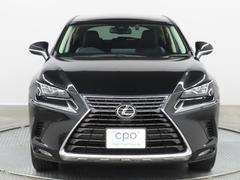 ���̤���β����Ǥ��� 2