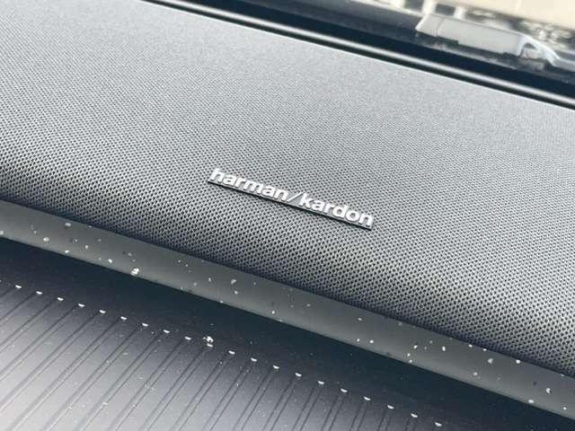 ＥＸ３０ ウルトラシングルモーター　エクステンデッドレンジ（14枚目）