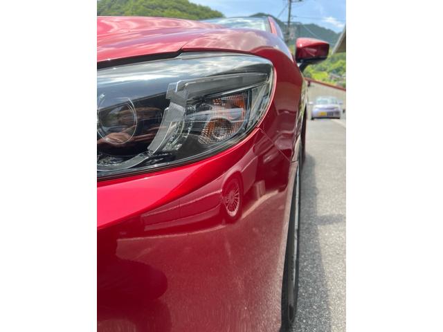 �w�b�h���C�g�C�菝����