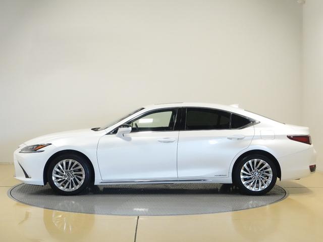 是非一度、実車を御覧ください。