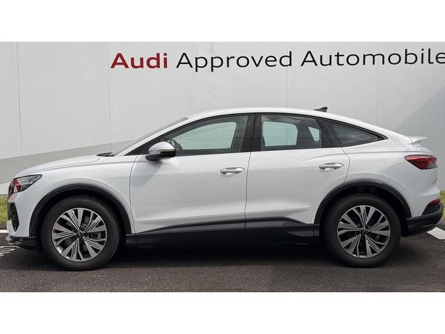 �i�T�C�h�V���G�b�g�j�h�A�ƃ{�f�B�[�̌��ԂȂǂ����������ƁA���ЂƂ͈�����悷���x�̍����ɋC�t�����Ǝv���܂��B