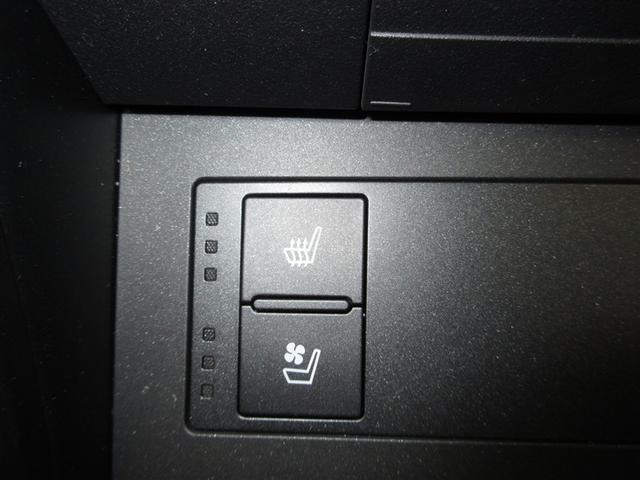 IS IS350 Fスポーツモードブラック 革シート フルセグ メモリーナビ DVD再生 ミュージックプレイヤー接続可 バックカメラ 衝突被害軽減システム ETC LEDヘッドランプ 記録簿(20枚目)